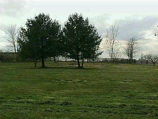 5861 Woolper Road Petersburg, KY 41080 - Photo 3 of 5