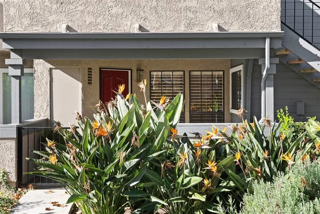 a front view of a house with large windows and flower plants