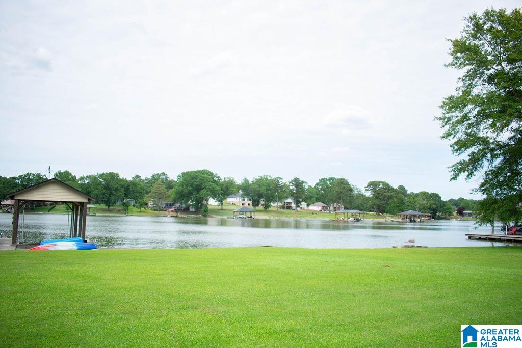748 Pine Harbor Road Pell City, AL 35128 - Photo 1 of 81