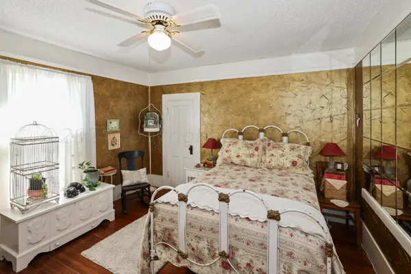 a view of a backyard with plants