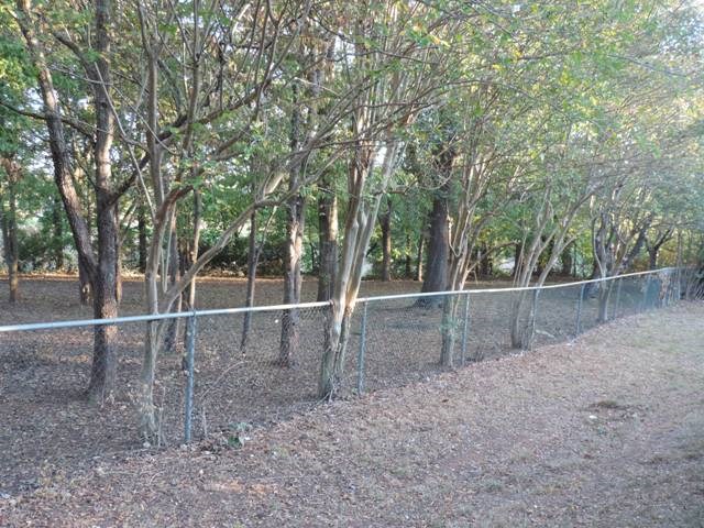 470 Tokeena Road Seneca, SC 29678 - Photo 25 of 25 Gallery Image 25
