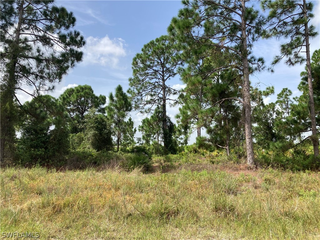 2528 Meadow Road Lehigh Acres, FL 33974 - Photo 2 of 3 a view of a yard