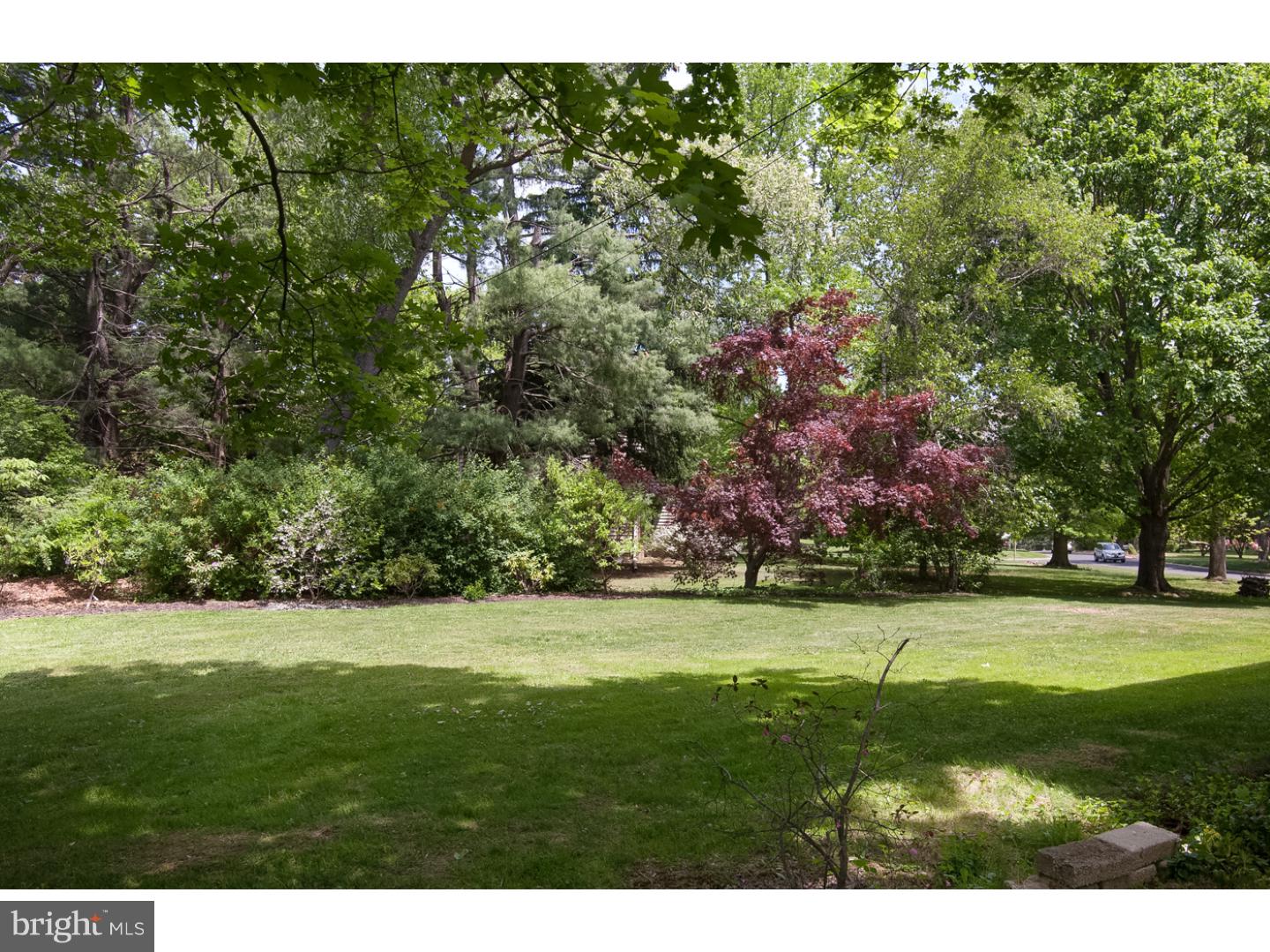 733 Alene Road Ambler, PA 19002 - Photo 22 of 25 Side Yard