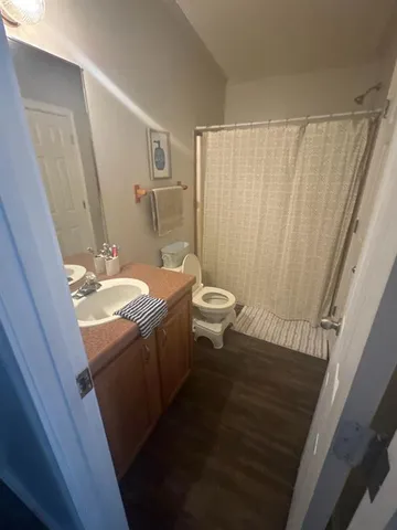 a bathroom with a sink a toilet and shower curtain