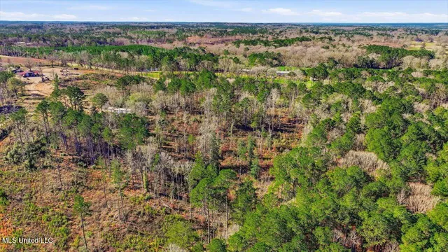 $50,000 | 0 Mississippi 13, Mendenhall, MS 39114