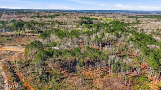 $50,000 | 0 Mississippi 13, Mendenhall, MS 39114