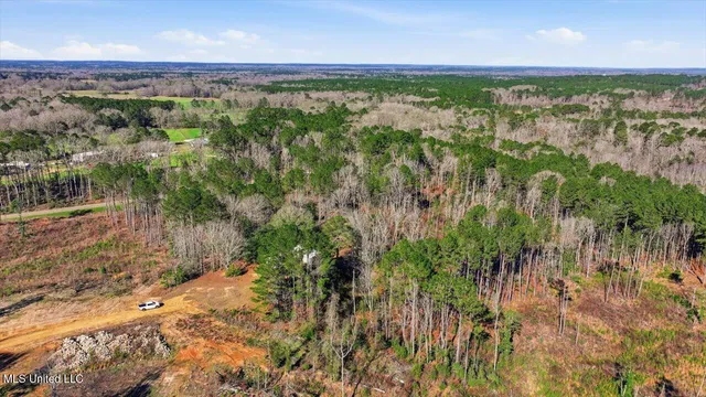 $50,000 | 0 Mississippi 13, Mendenhall, MS 39114