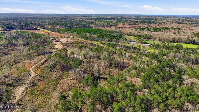 $50,000 | 0 Mississippi 13, Mendenhall, MS 39114