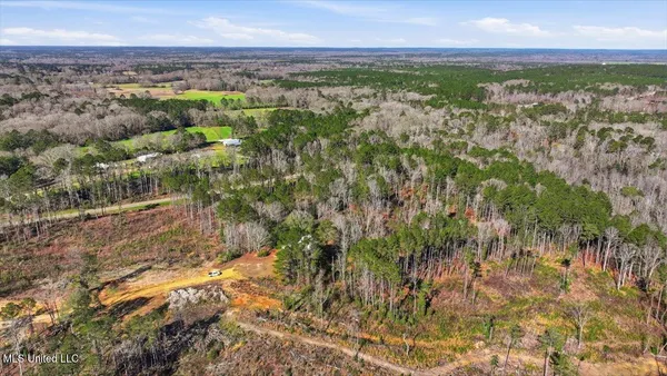 $50,000 | 0 Mississippi 13, Mendenhall, MS 39114