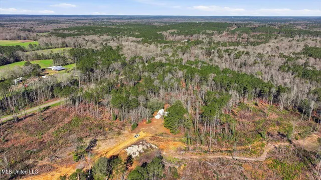 $50,000 | 0 Mississippi 13, Mendenhall, MS 39114