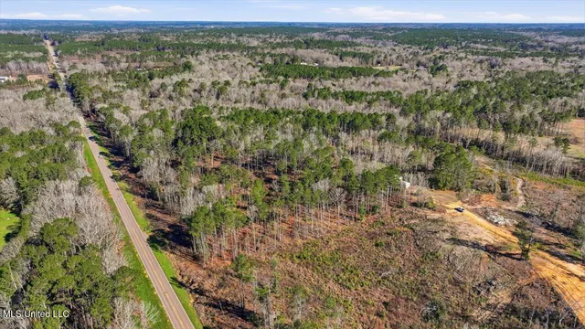 $50,000 | 0 Mississippi 13, Mendenhall, MS 39114