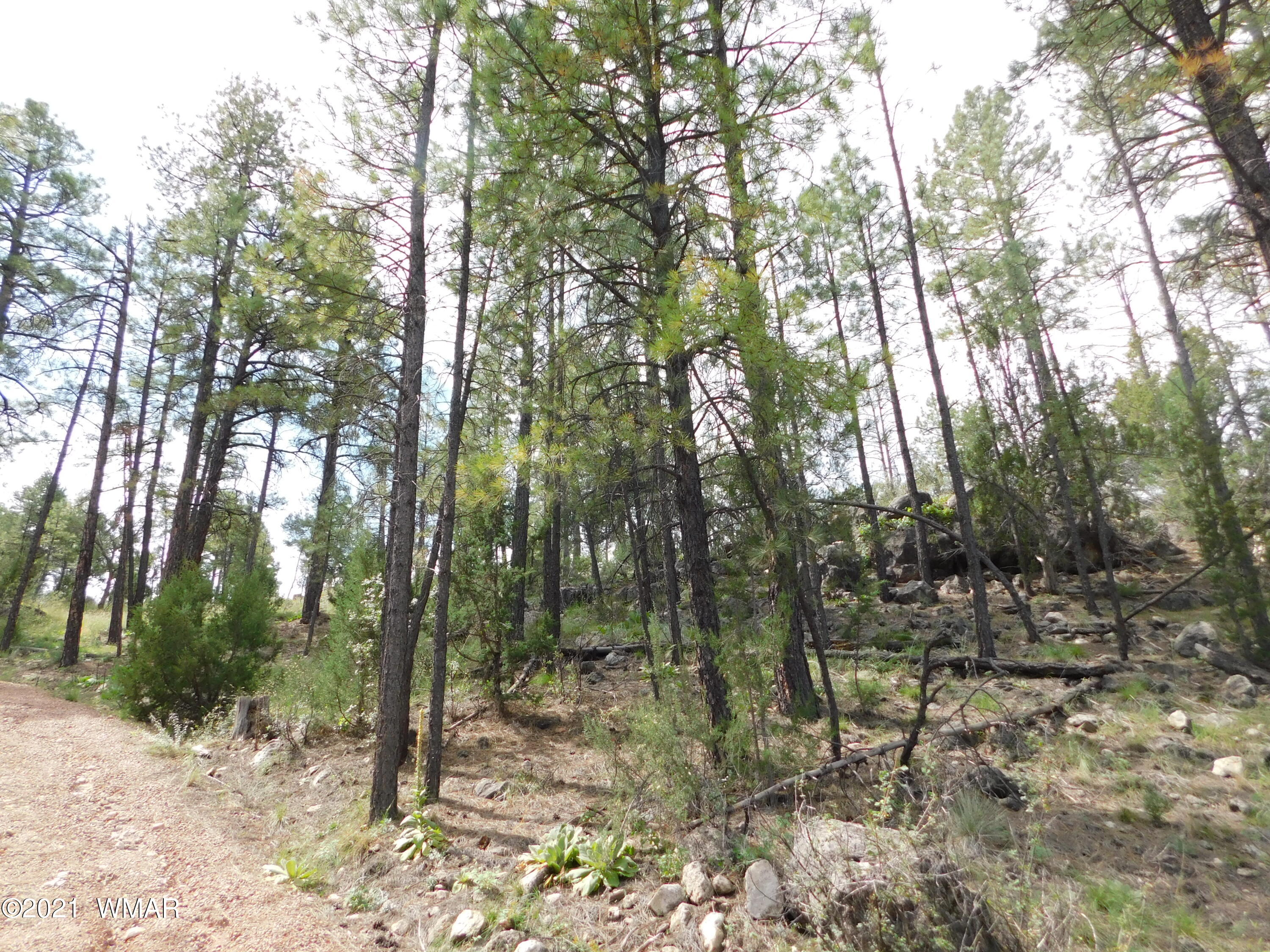 2926 Deer Hill Road Heber, AZ 85928 - Photo 4 of 4