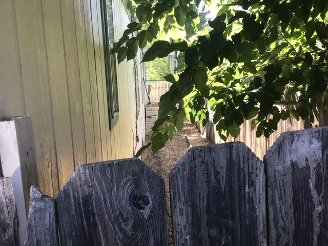 a view of a backyard