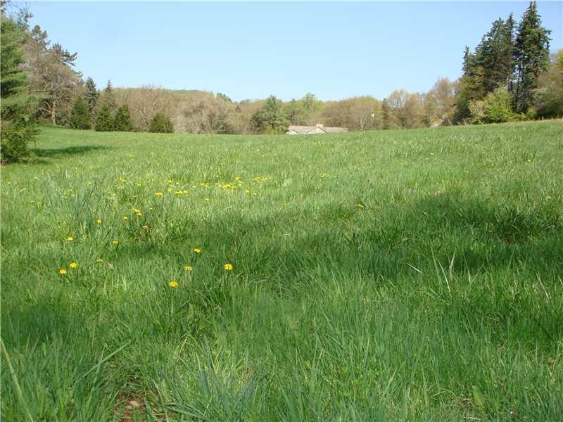 Powers Run Road Pittsburgh, PA 15238 - Photo 2 of 4 View. Looking toward Fox Chapel Road