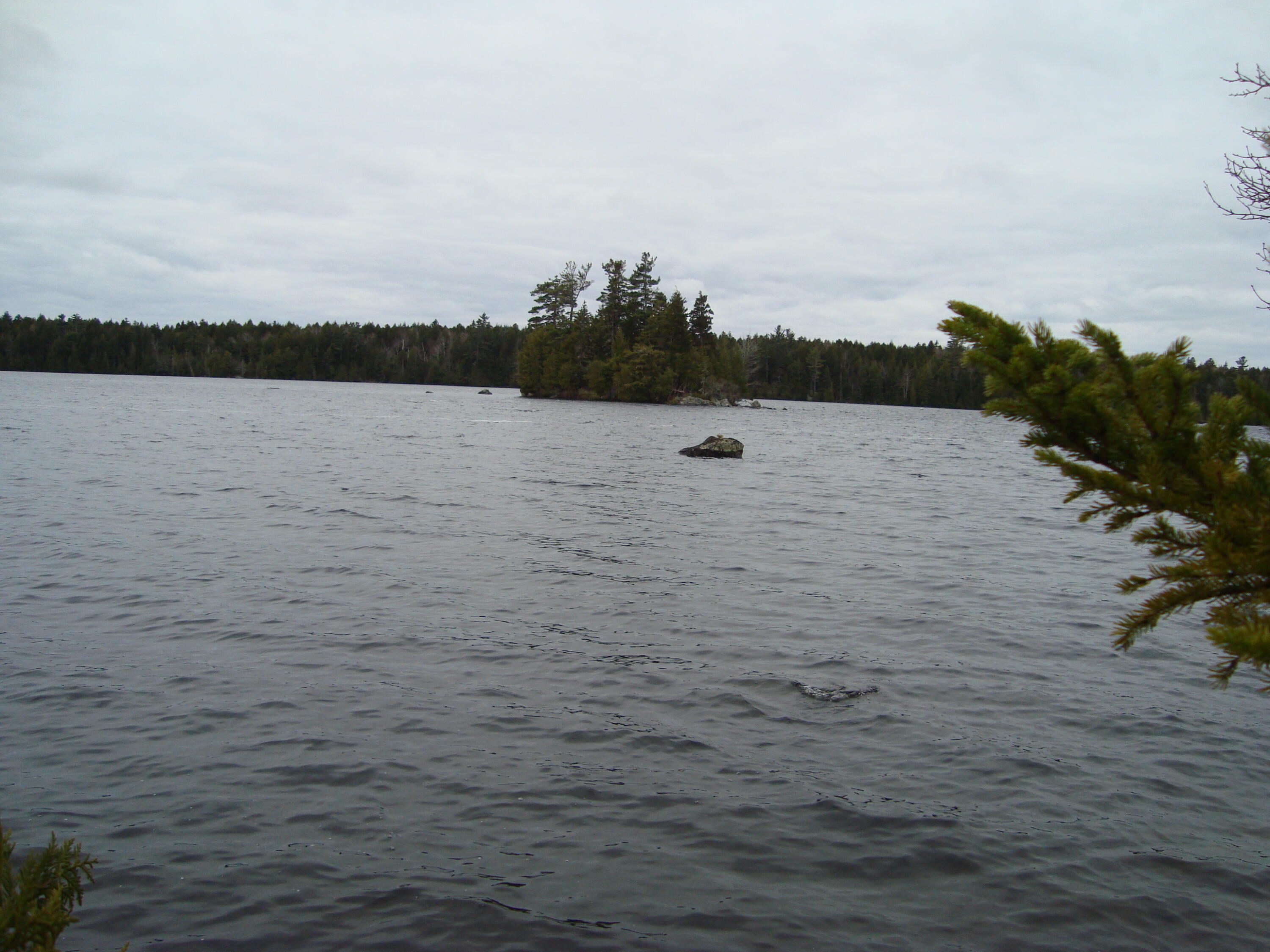 Lot G Birch Pt Road Cooper, ME 04657 - Photo 9 of 13 DSC02952