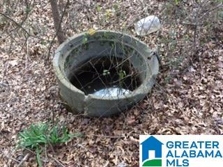 769 Chandler Mountain Road Steele, AL 35987 - Photo 29 of 41