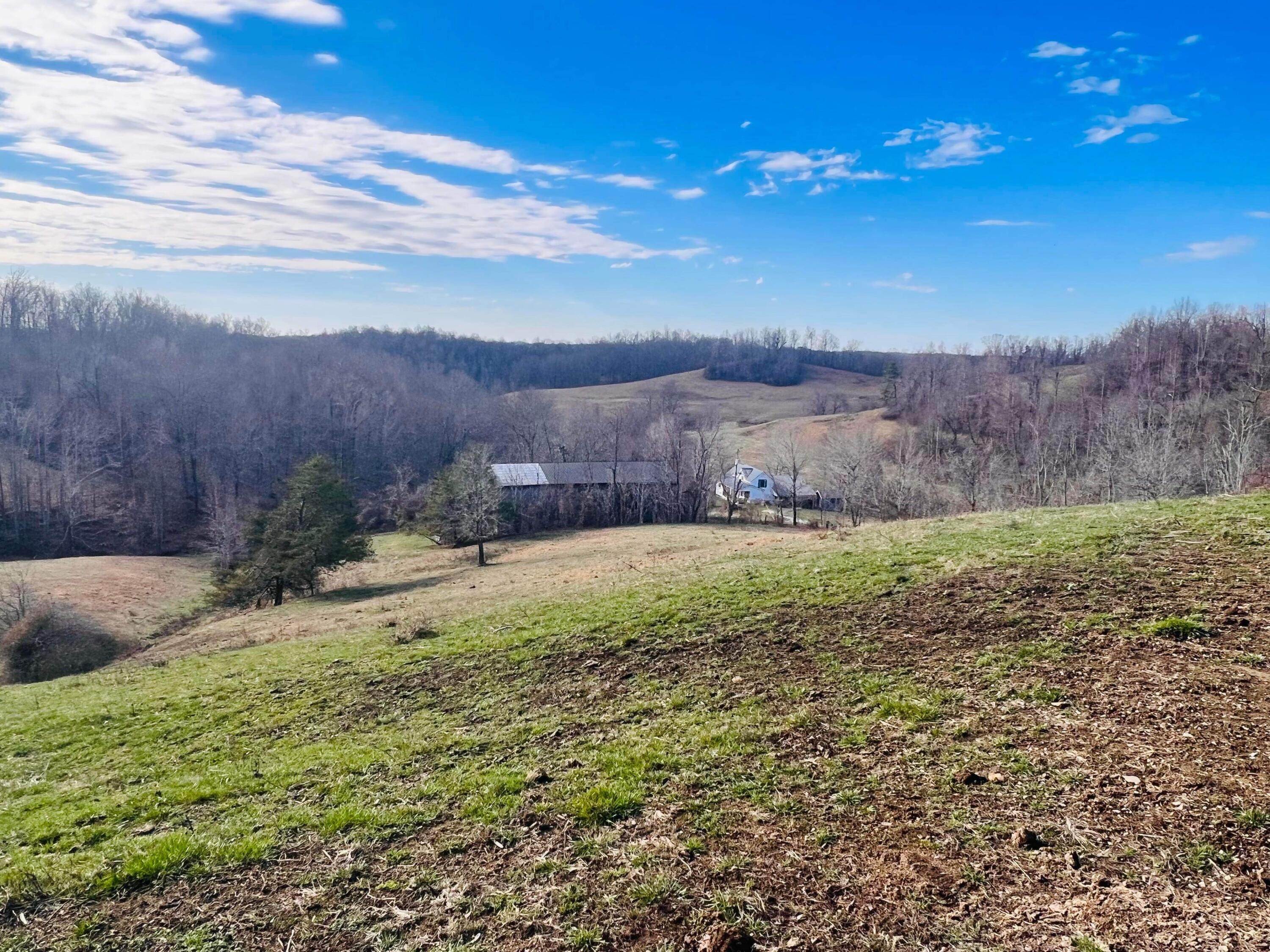 812 Stringtown Road Sandy Hook, KY 41171 - Photo 4 of 154 IMG_5970