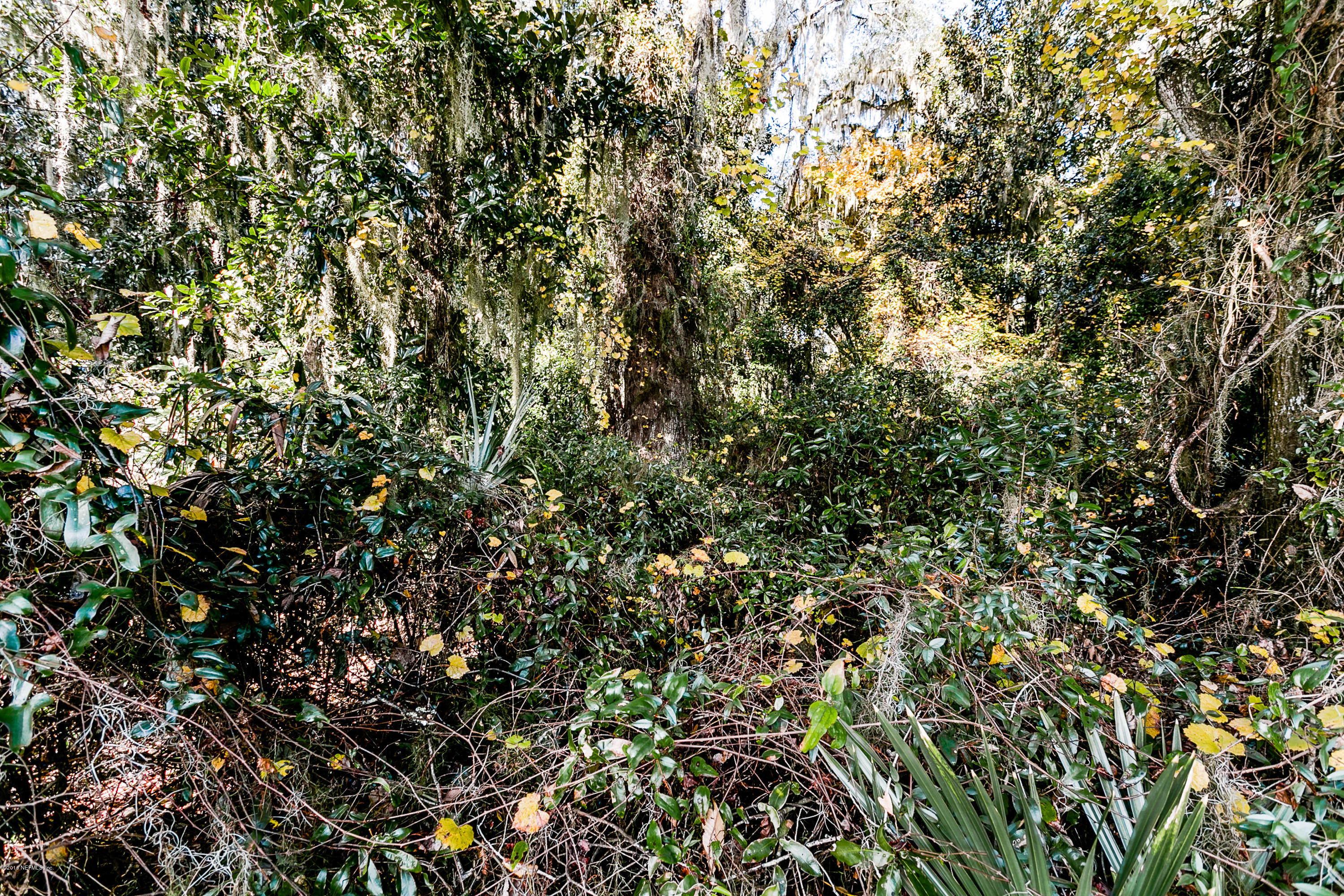 F) Lot Harvey Grant Road Fleming Island, FL 32003 - Photo 20 of 31 View Northwest From Center