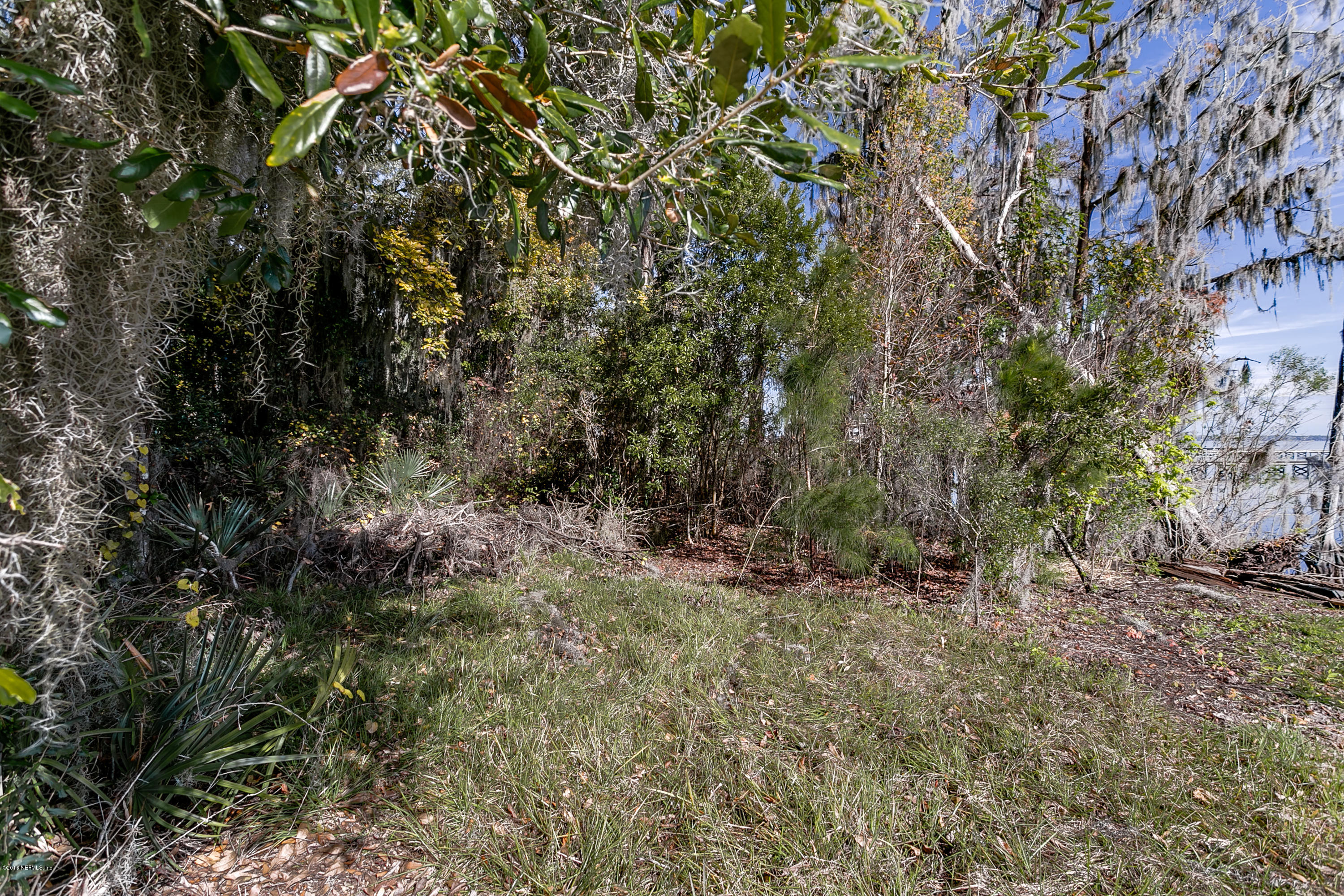 F) Lot Harvey Grant Road Fleming Island, FL 32003 - Photo 10 of 31 North View From South
