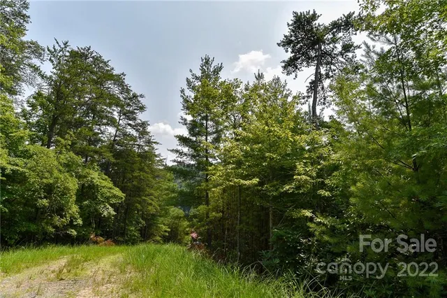 $27,500 | Lot 22 The Vines Boulevard, Unit LOT 22, Marshall, NC 28753