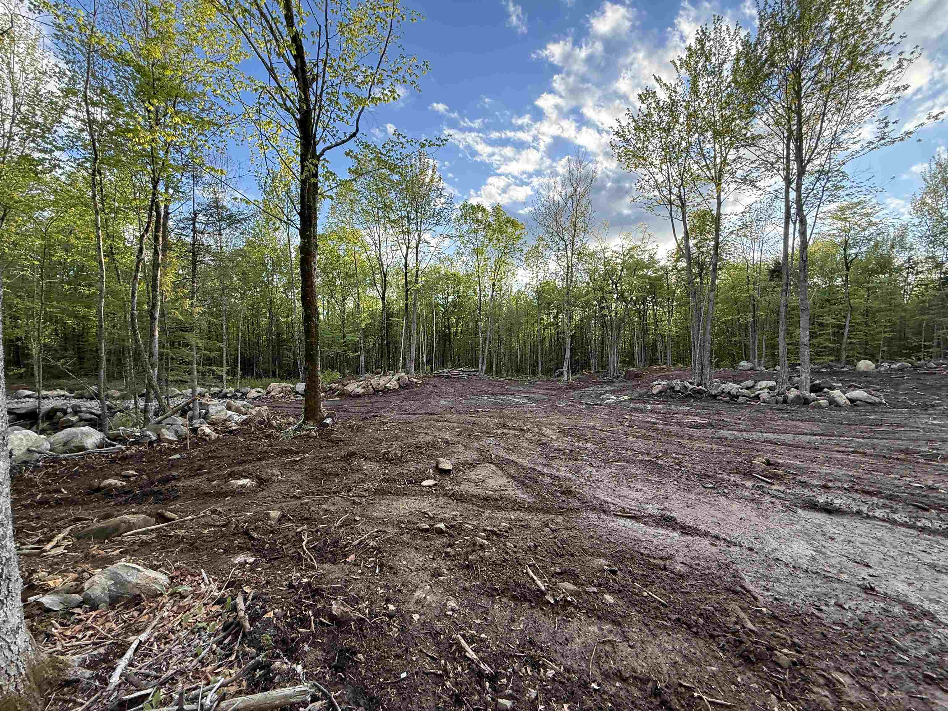 Lot 9 Old County Road Franconia, NH 03580 - Photo 12 of 16