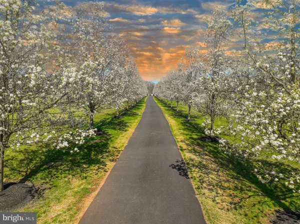 $1,999,900 | 114 Federal Twist Road, Stockton, NJ 08559