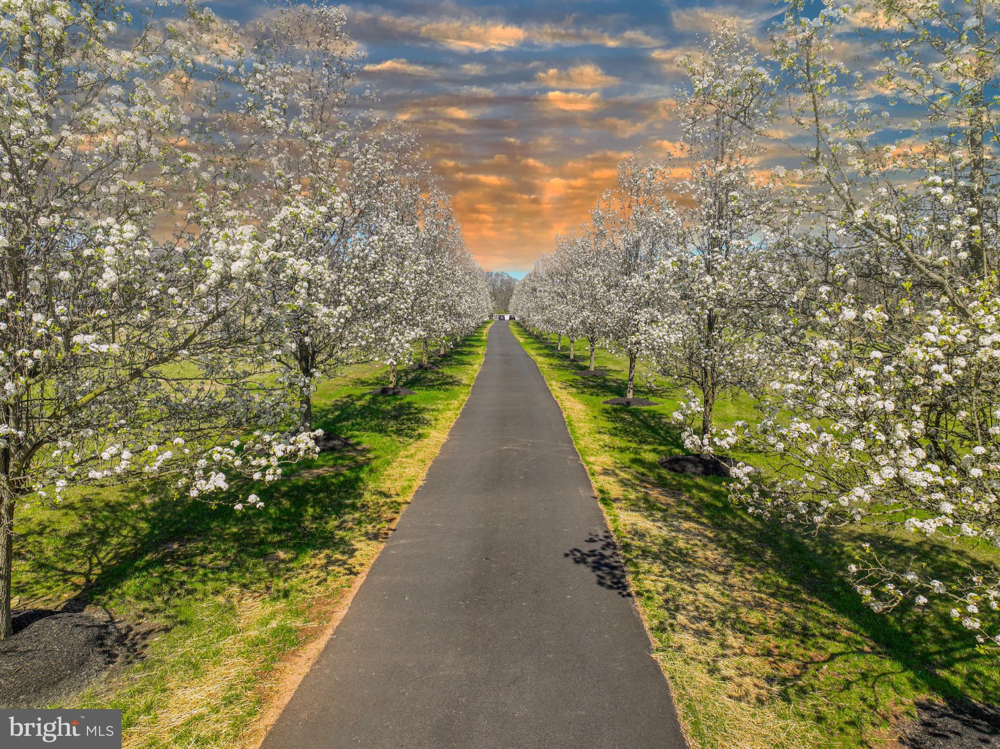 114 Federal Twist Road Stockton, NJ 08559 - Photo 71 of 73