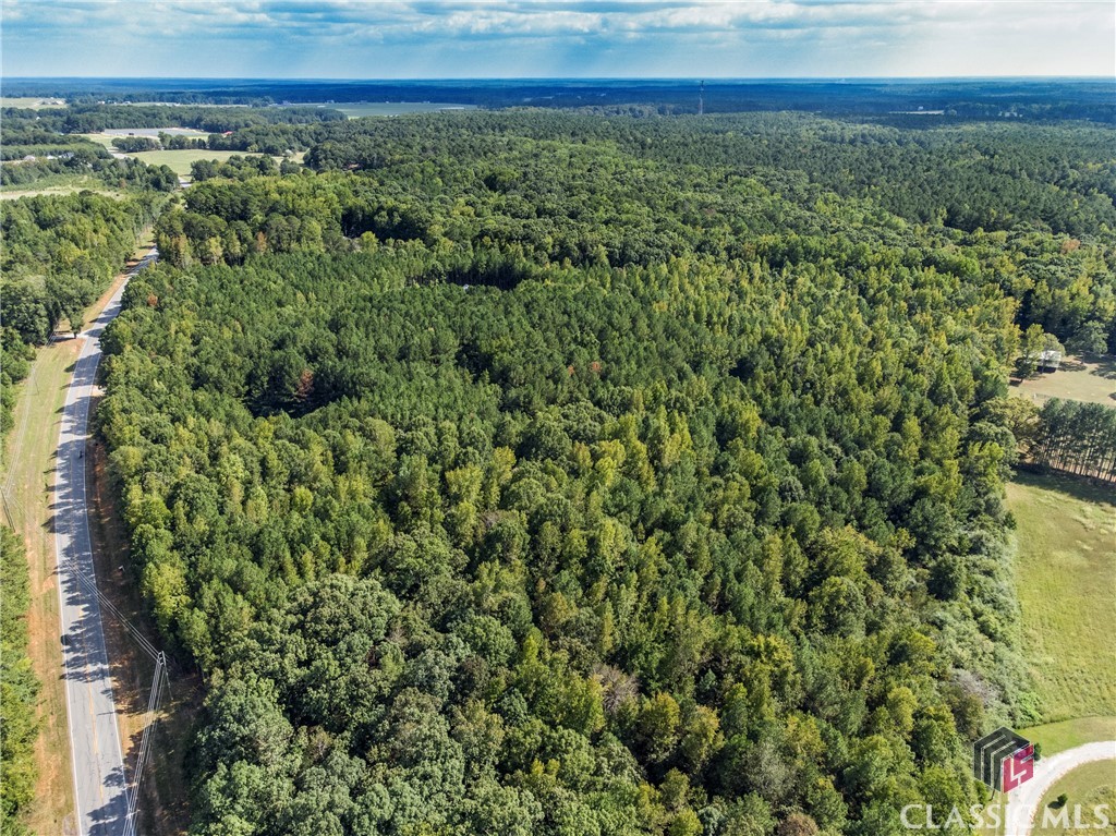 0 Hog Mountain Road Statham, GA 30666 - Photo 7 of 12 Gallery Image 7