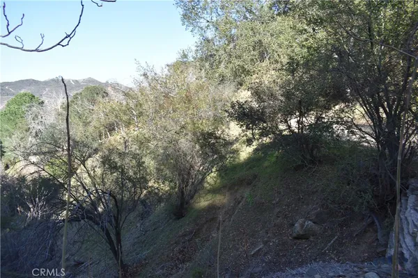 $25,000 | 0 Crest Forest Drive, Cedarpines Park, CA 92322