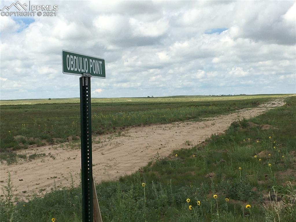 2520 Obdulio Point Rush, CO 80833 - Photo 1 of 17 a view of a lake with outside space