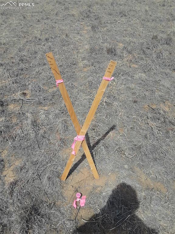 2520 Obdulio Point Rush, CO 80833 - Photo 7 of 17 a view of entryway and entertaining space