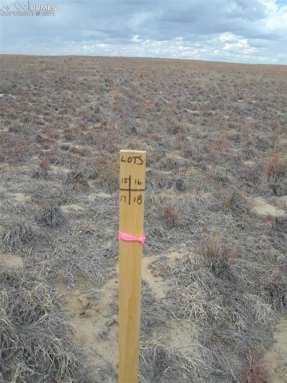 2520 Obdulio Point Rush, CO 80833 - Photo 8 of 17 a sign board with an ocean beach