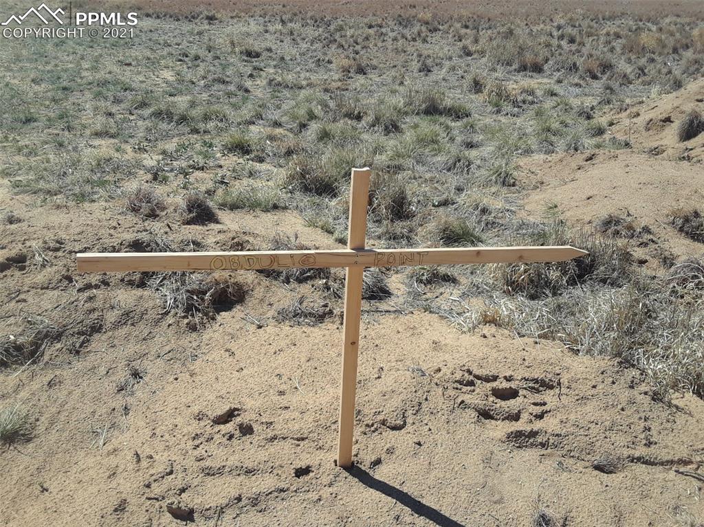 2520 Obdulio Point Rush, CO 80833 - Photo 10 of 17 a view of wooden fence