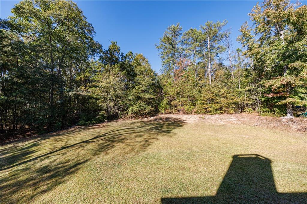 6790 Palace Lane Fairburn, GA 30213 - Photo 62 of 62