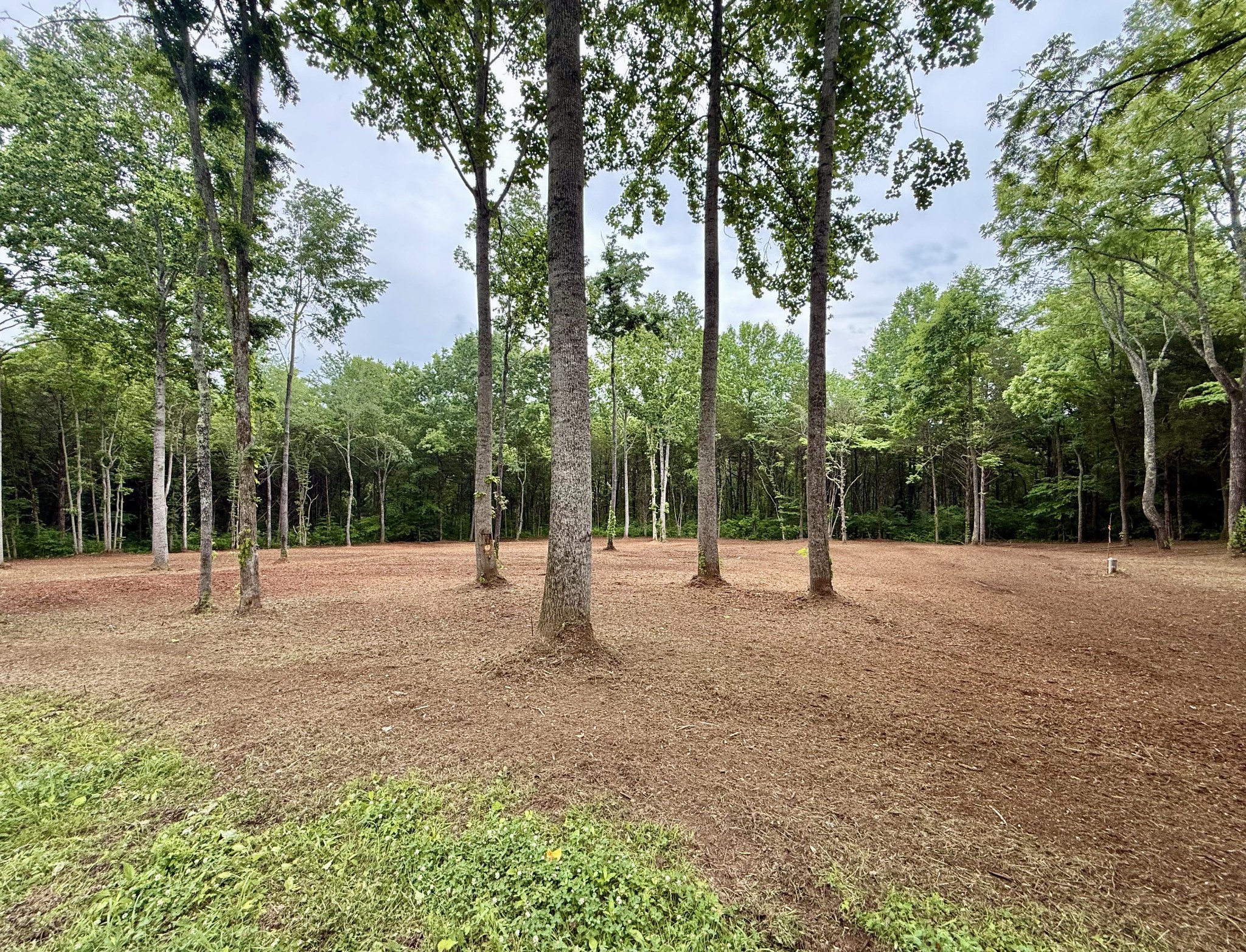 0 Bedford Lake Road Normandy, TN 37360 - Photo 32 of 34