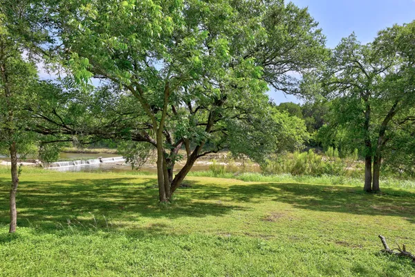 a view of a field with a tree