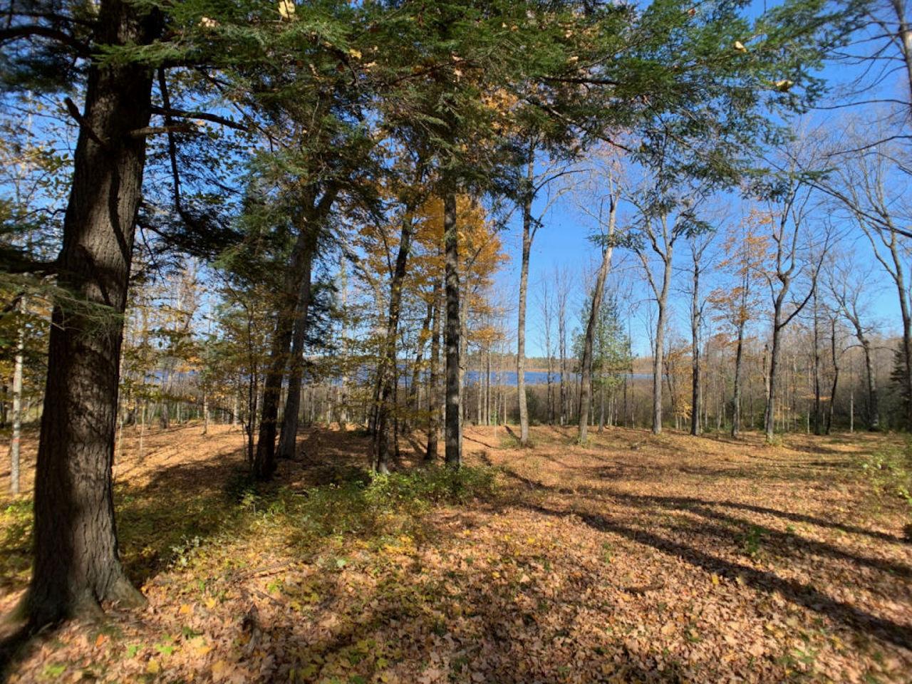 Lot2 Lot2 Cth Ff Mercer, WI 54547 - Photo 6 of 29 Gallery Image 6