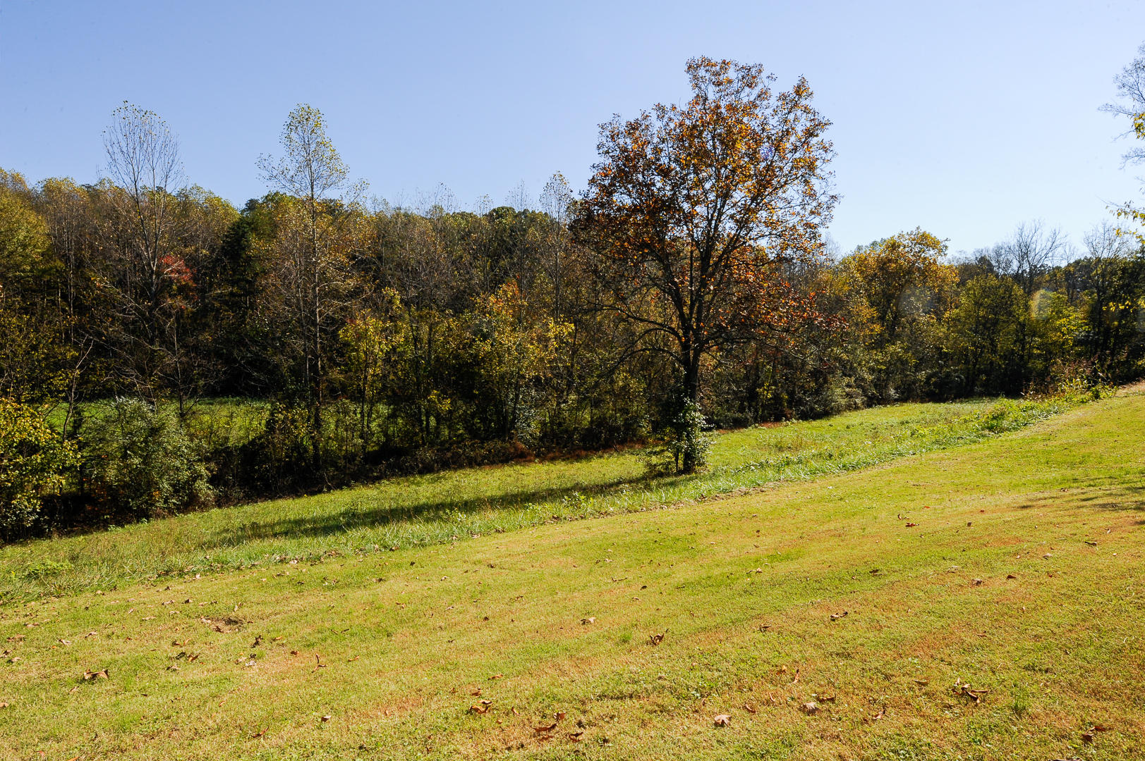 136 South Springview Road Maryville, TN 37801 - Photo 25 of 33 _DSC6635