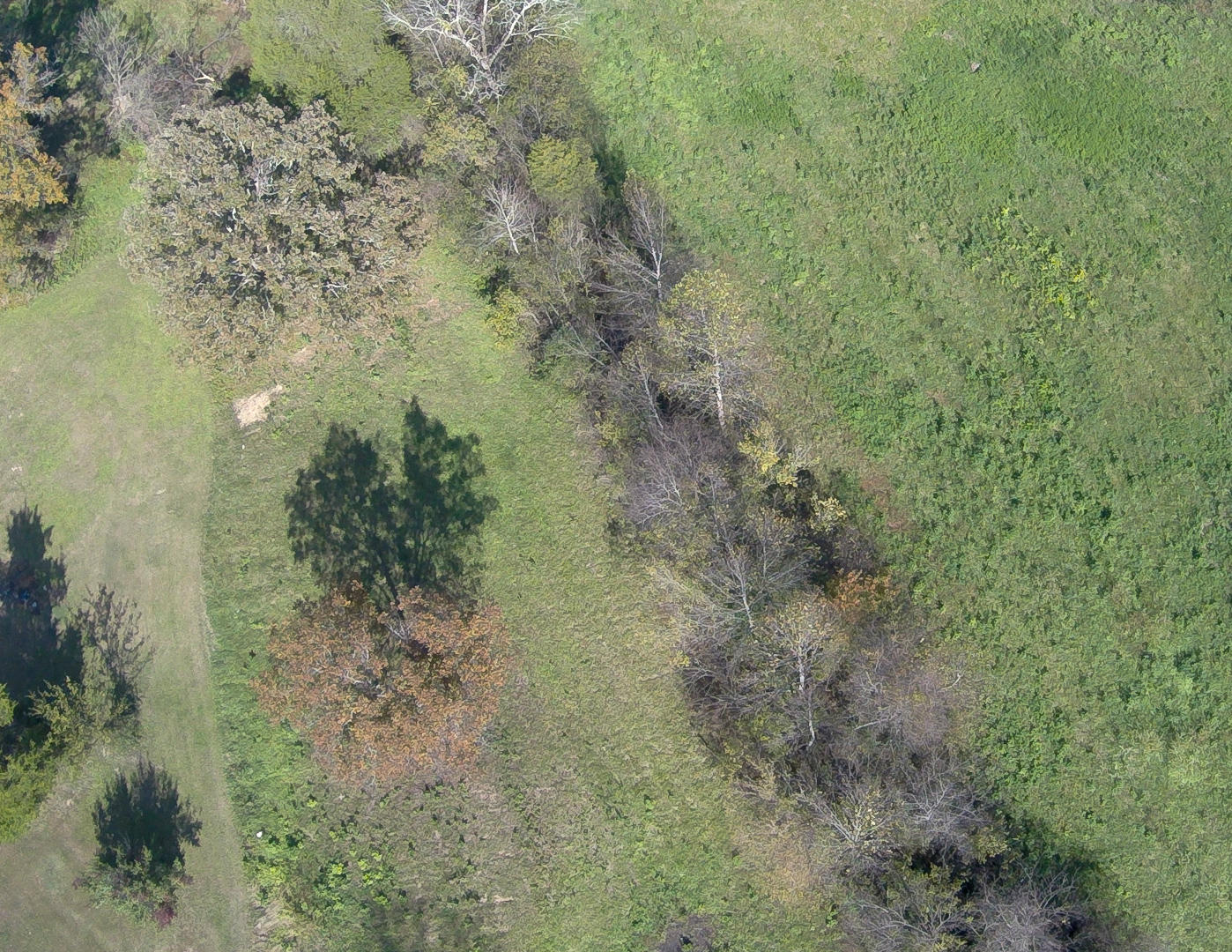 136 South Springview Road Maryville, TN 37801 - Photo 29 of 33 DSC_0014-4