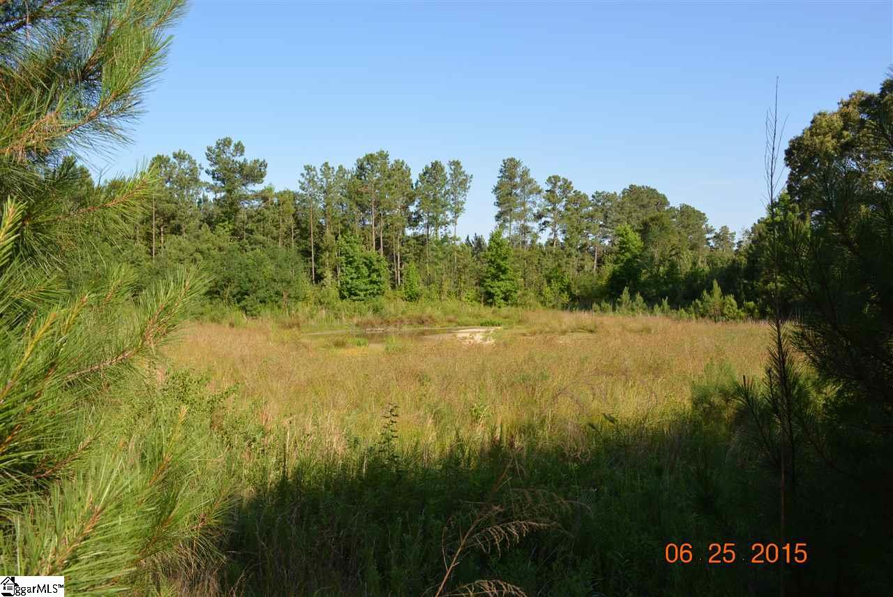 1710 Georgia Road Gray Court, SC 29645 - Photo 35 of 36
