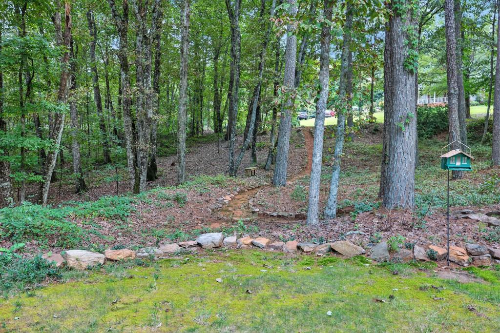 82 Cedar Bluff Winder, GA 30680 - Photo 13 of 47 a backyard of a house with lots of green space