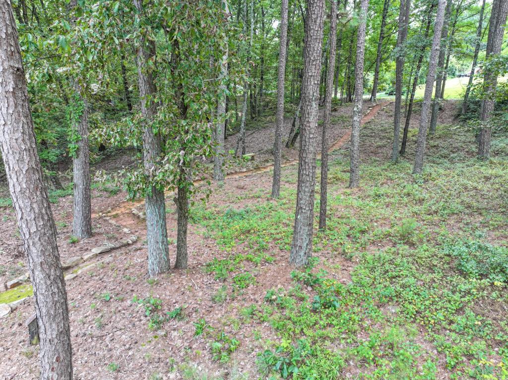 82 Cedar Bluff Winder, GA 30680 - Photo 14 of 47 a view of a forest