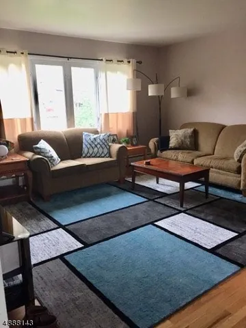 a living room with furniture rug and window