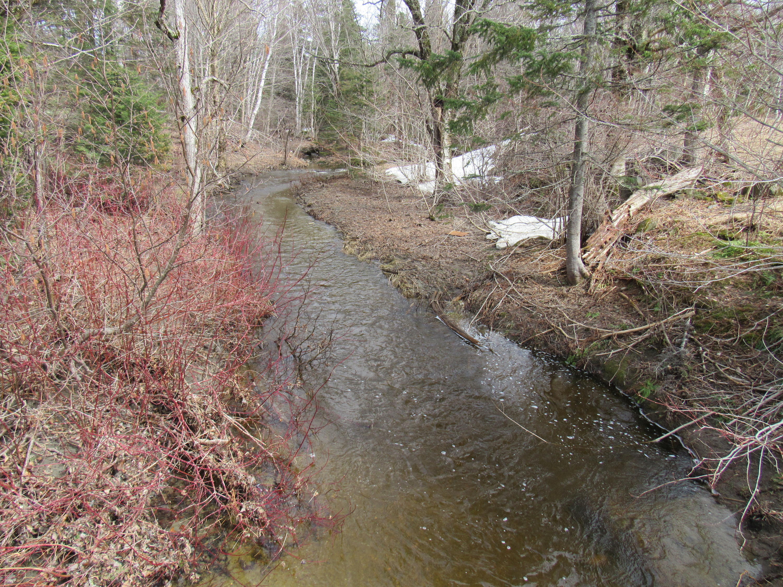 17 Halfway Brook Road Jackman, ME 04945 - Photo 2 of 4 IMG_4145