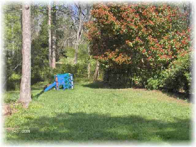 221 Burning Bush Road Mauldin, SC 29662 - Photo 25 of 25 Gallery Image 25