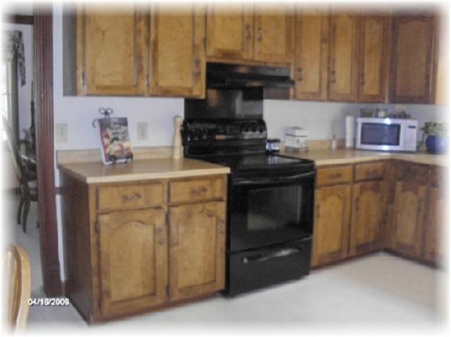 221 Burning Bush Road Mauldin, SC 29662 - Photo 9 of 25 Gallery Image 9
