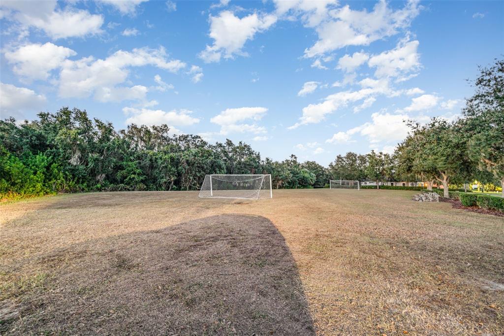 1904 146th Terrace East Parrish, FL 34219 - Photo 37 of 40 a view of an outdoor space and yard