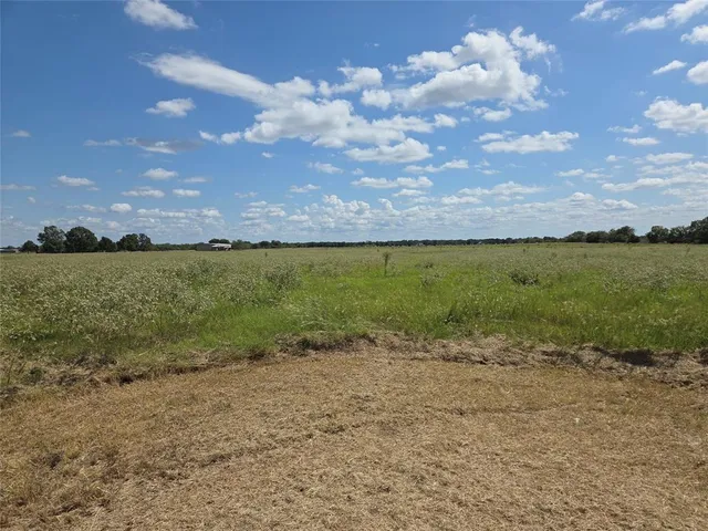 a view of a lake from a yard