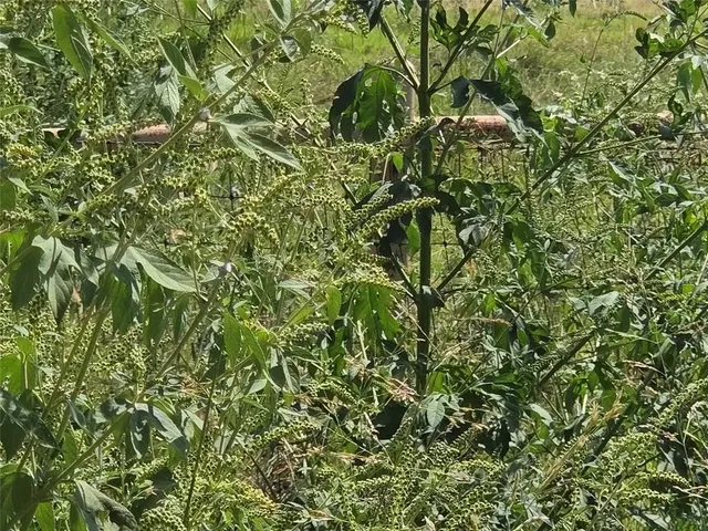 a view of an outdoor space and a yard