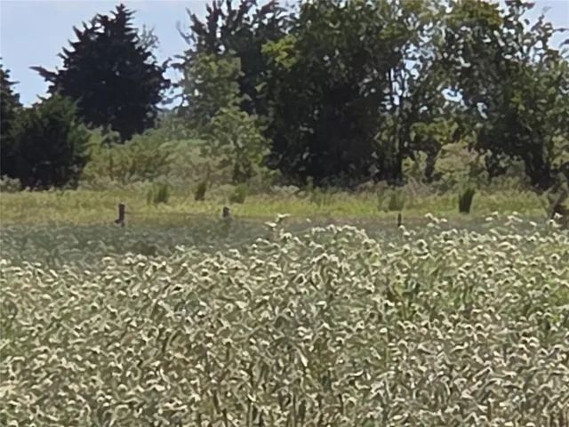 a view of a golf course with a lake